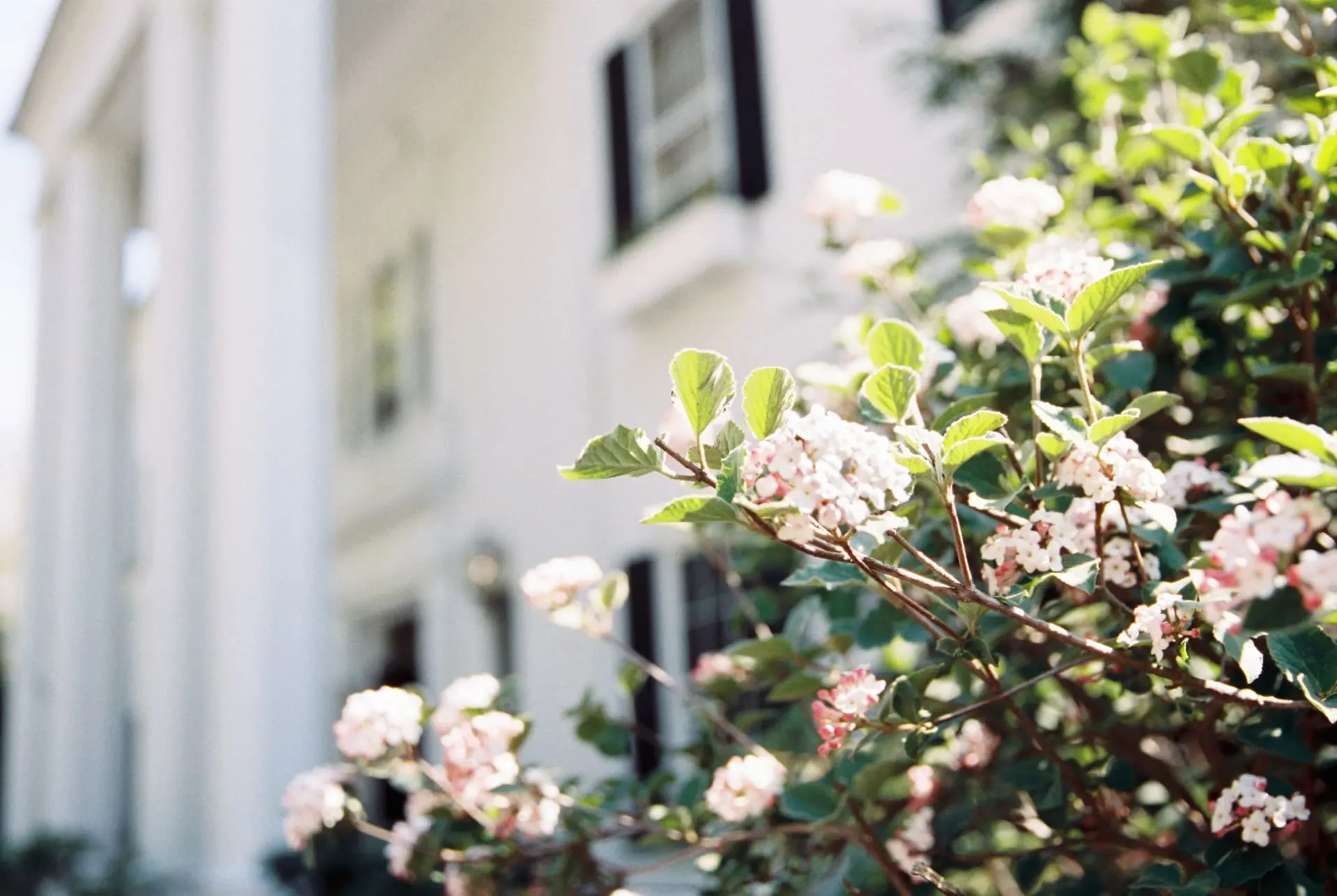 BUYER'S GUIDE The Keels Team Richmond Virginia Real Estate