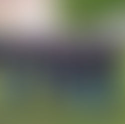 The Grand Review Brandy Station Foundation, June 2023