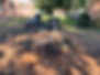 Clayton North Carolina Tree Stump Grinding