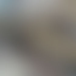 LIBRARY ART SHOW EXHIBIT