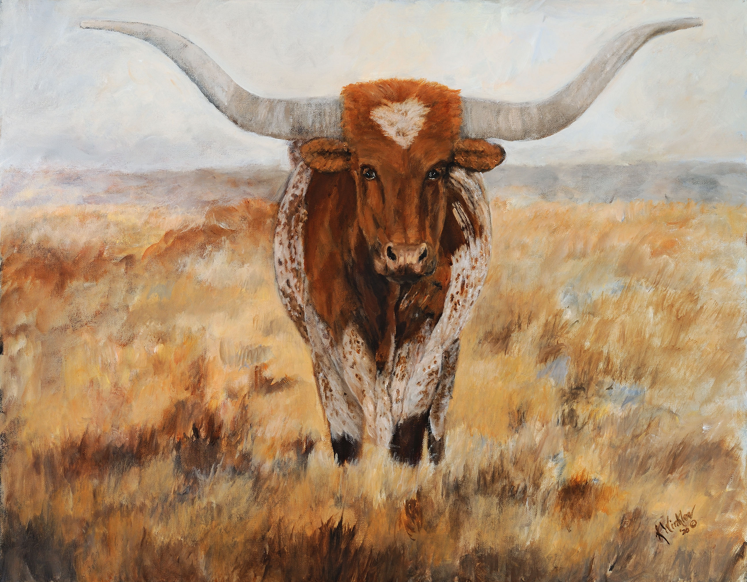 It's All About the Horns - 2