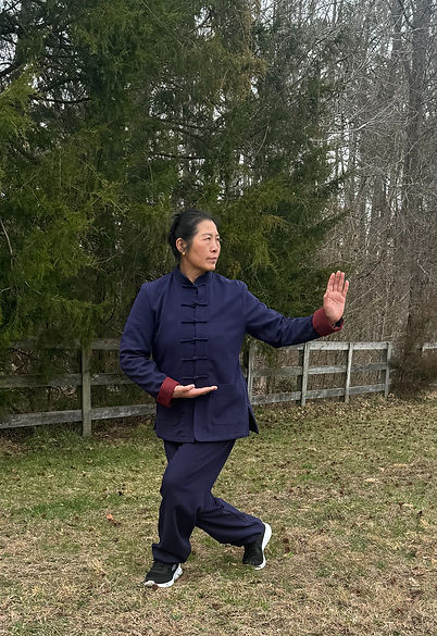 Wu DangTai Ji
