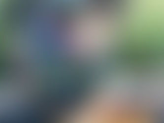 November 2020 Wrapup