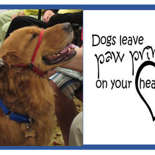 Volunteer Spotlight – Luke