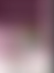 February 9th Monday Mindset with Once Choice Financial