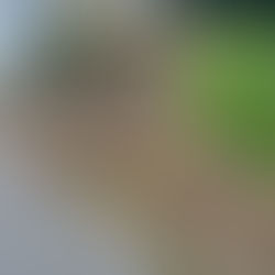 Walkway and Seating Area Project