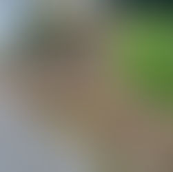 Walkway and Seating Area Project