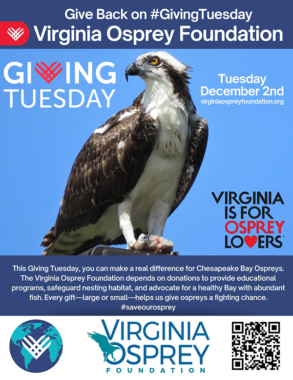 Giving Tuesday Osprey