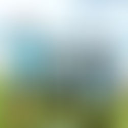 Top 5 Championship 2023