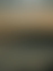 Introducing Author Sean Gates