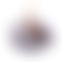 2424 - Winter Bird from the Thomas Glenn High Design Collection