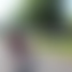 Our Annual Parade With Bright Side Early Care And Learning Center