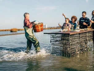 Capital Region USA: Discover Virginia’s Oyster Trail: 7-Day Itinerary