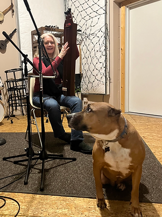Musician and author jan bidwell