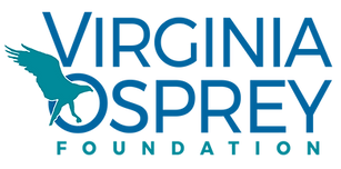 Virginia Osprey Foundation