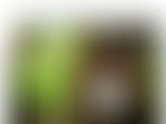 Great Article from The House & Home Magazine on The Enchanted Forest