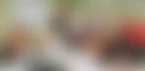 Working with Brain Injury Services Fredericksburg Day Program 6