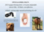 Slide4