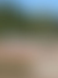 Catawba County, Conover, North Carolina Charters of Freedom - NEWS