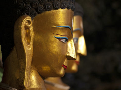 Golden Buddha statues in profile
