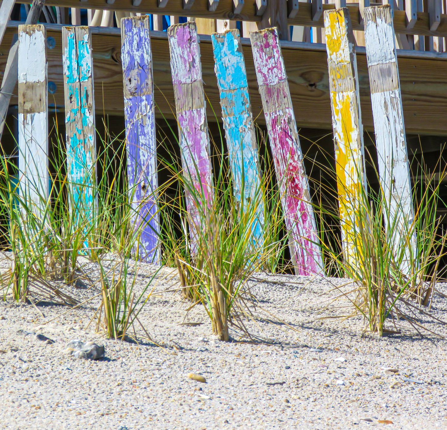 Beach Fence