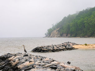 Historic Virginia Travel: The Ultimate List of Things to do in Colonial Beach