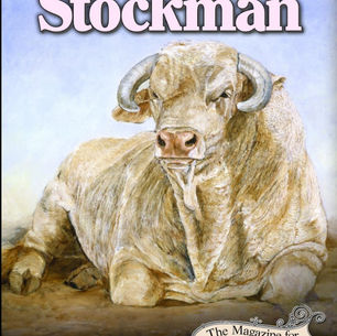 Creampuff Front Cover on Stockman Magazine September 2022