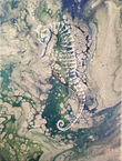 Light_SeaHorse_9x12_$125.jpg
