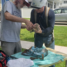 Our First Bird Banding, June 20, 2022