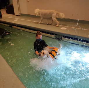 Teddy’s and Katy’s First Swimming Lesson