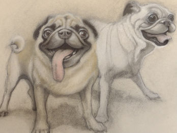 Carol Haynes_Two simling pugs_available.jpg