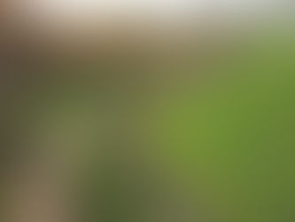 Antietam National Battlefield: Where History, Sacrifice, and Reflection Meet