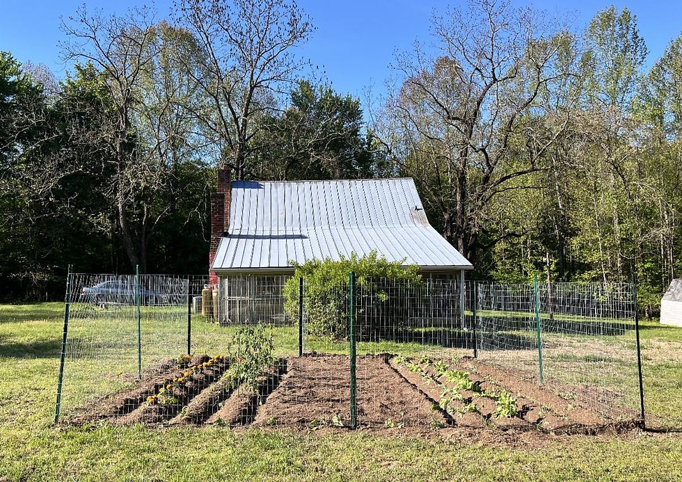 Sarah Jane's Garden