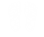 Solewise Reflexology Services