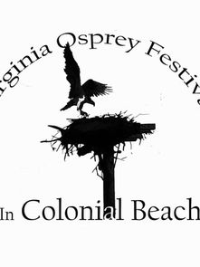The Virginia Osprey Festival