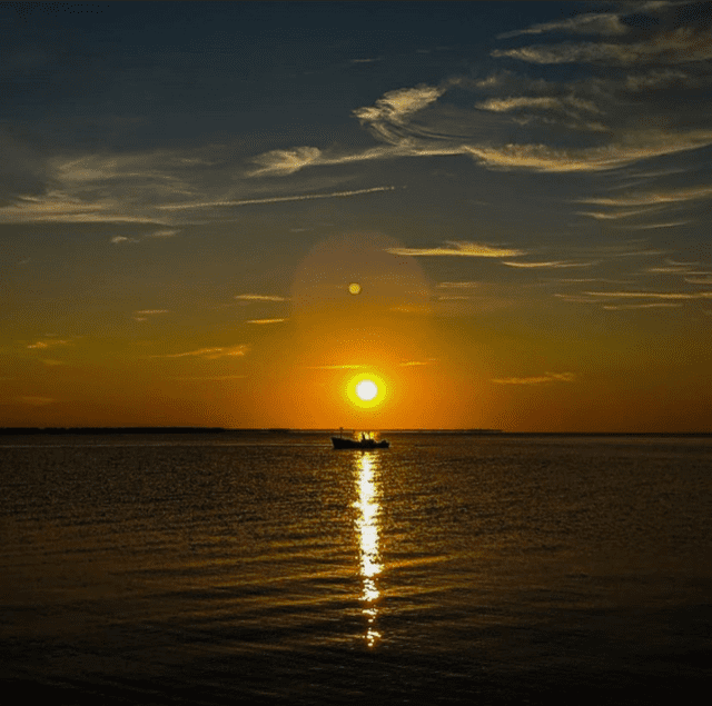 Liam Dominic Fanning