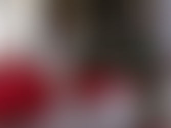 Small Town Virginia Holiday Roadtrip