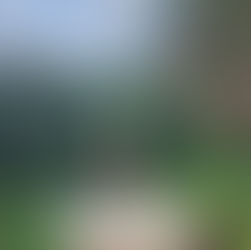 September 2023 Newsletter