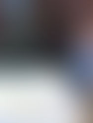 Rockingham County, Reidsville, North Carolina Charters of Freedom - NEWS