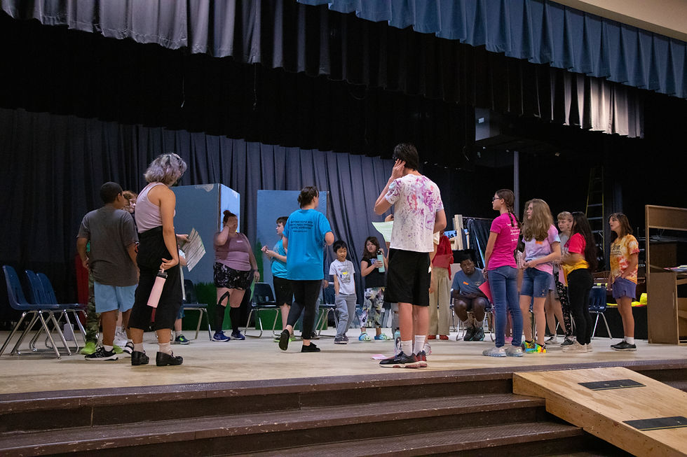 Step VA Theater Practice 