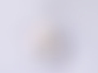 Are You Ready To Fall in Love with Homeownership?