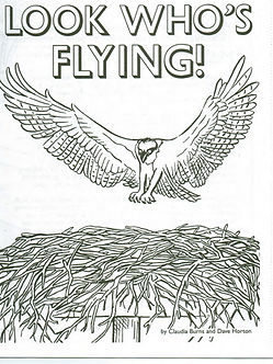 lookwhoseflying.jpg