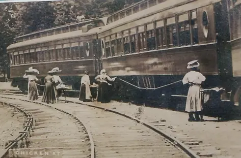 Gordonsville WaiterCarriers