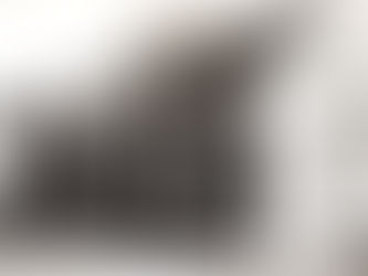 The Farrish Printing Building, Port Royal, Virginia