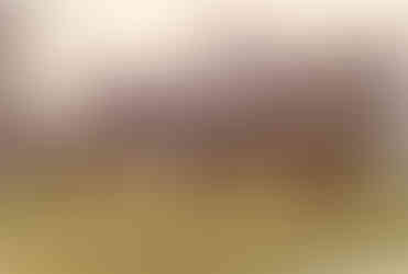 Colonial Beach Hotel Historical photo 4