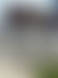 Morgan County, Jacksonville, Illinois, Charters of Freedom - NEWS