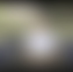 Junior Civitan International Organization