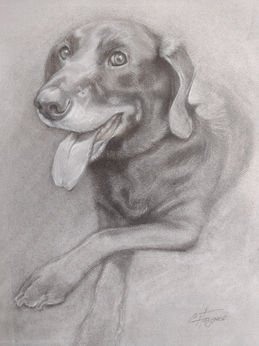 Carol Haynes_Rex_commission.jpg