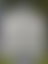 Westmoreland’s Negro Revolutionary War Troops