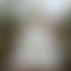 The first snowfall of 2024